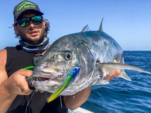 Jack Fin Pelagus 165-S Sahte Yem Dorado ''Özel Renk''